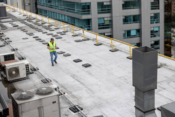 Best Cold Roofs  in Del Rey Oaks, CA